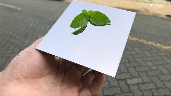 為什么彩色不銹鋼裝飾板會(huì)大受歡迎？