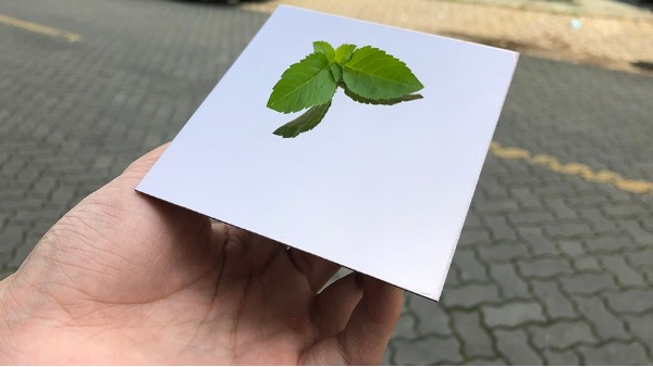 不銹鋼鏡面如有劃痕怎么處理？